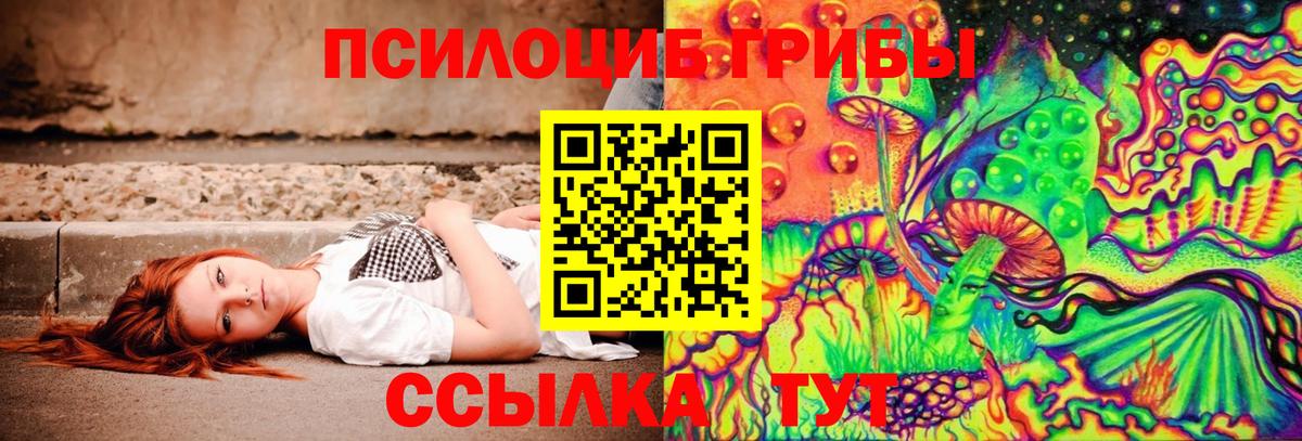 Чернушка  закладки  Вход с VPN  Псилоцибиновые грибы ЛСД 