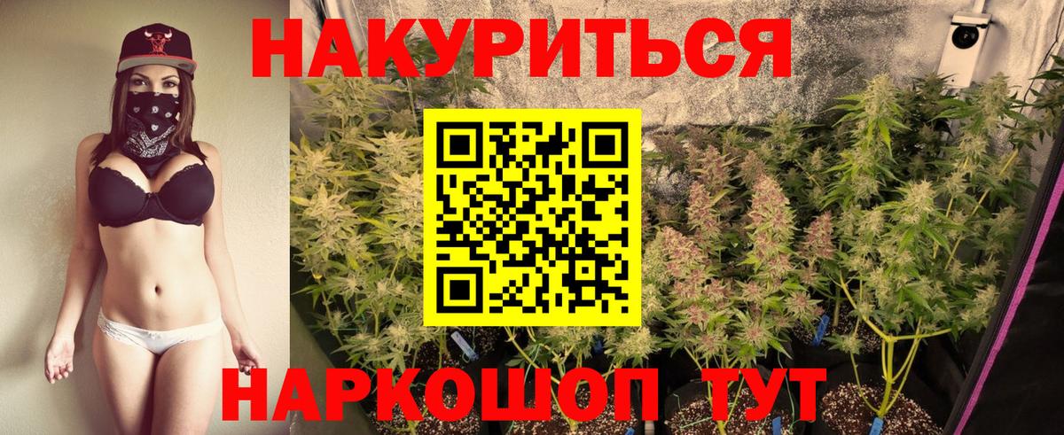 Чернушка  Каннабис индика  Канабис семена  Конопля MAZAR  Вход с VPN  Конопля тримм 